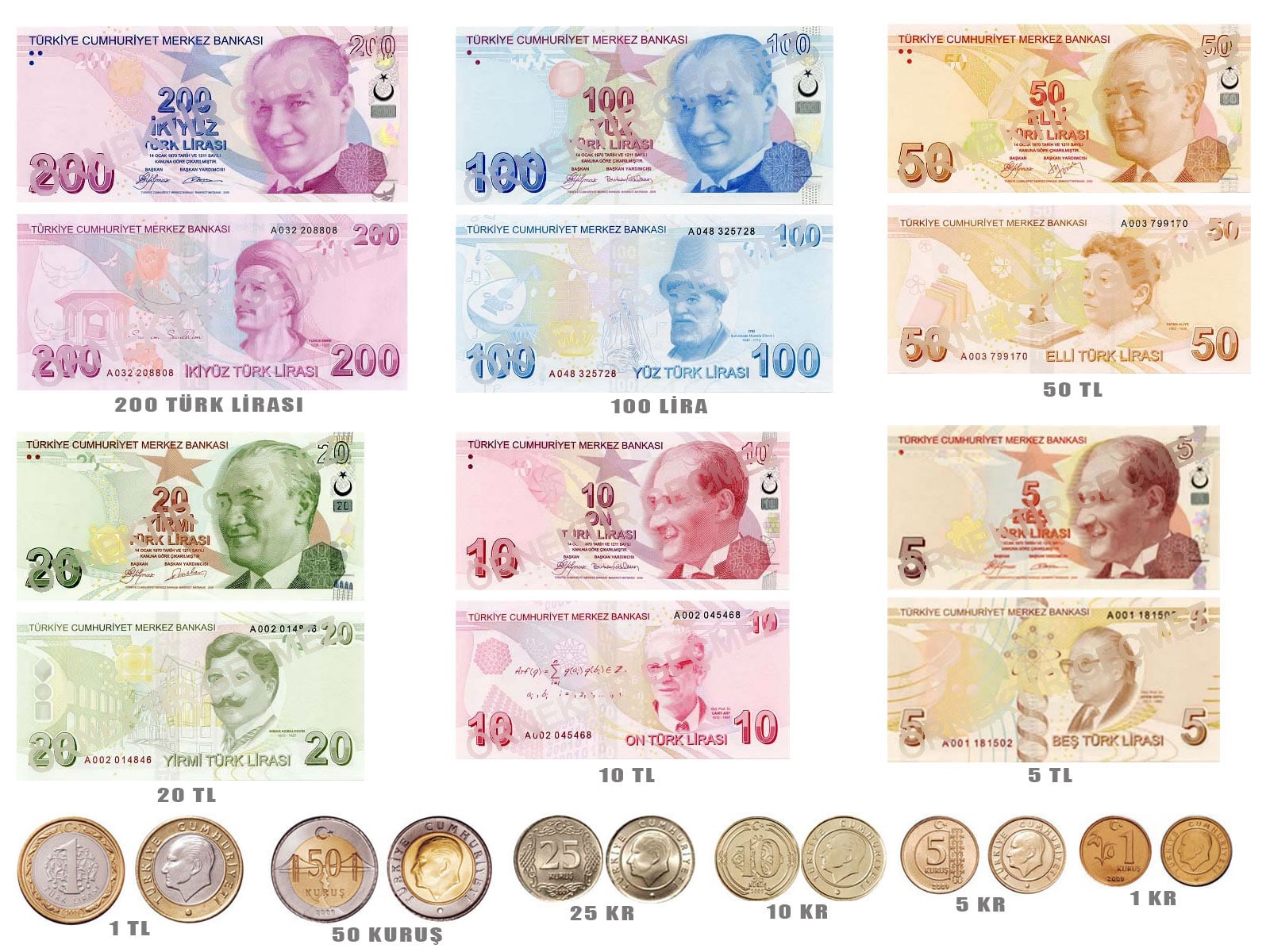 All You Need To Know About The History Of Turkish Lira