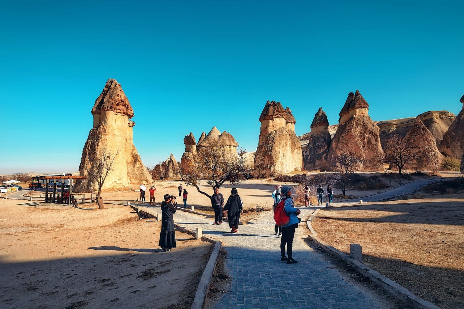 Tour Photos Cappadocia Pasabag Fairy Chimneys