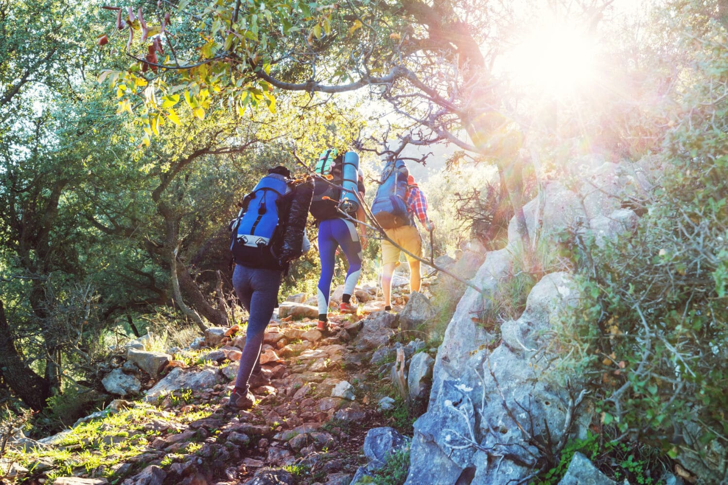 Lycian Way Uphill