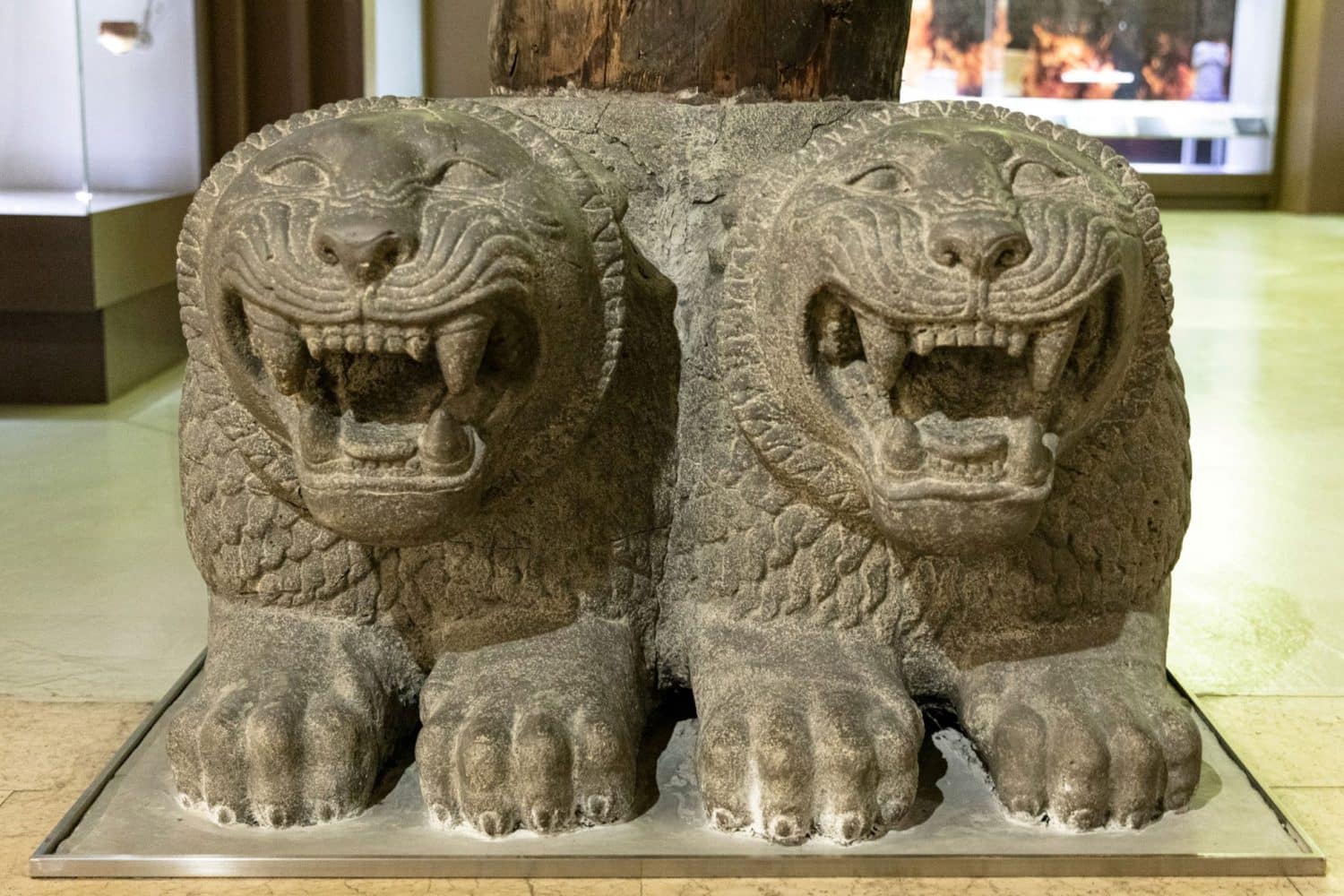 Tour Photos: Hatay Mosaic Museum lions