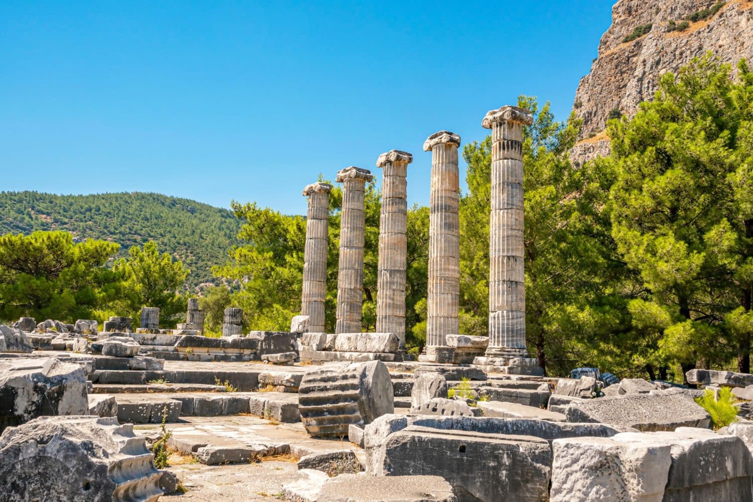 Tour Photos: Ionic columns of Temple of Athena Polias of Priene