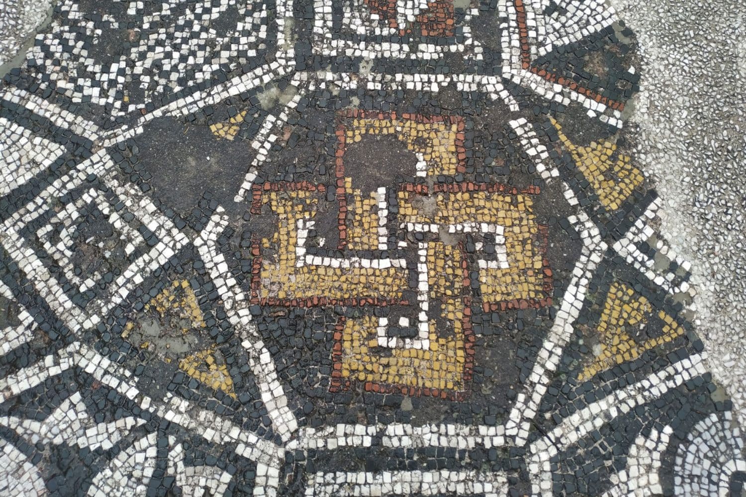 Tour Photos: Sardis mosaic detail