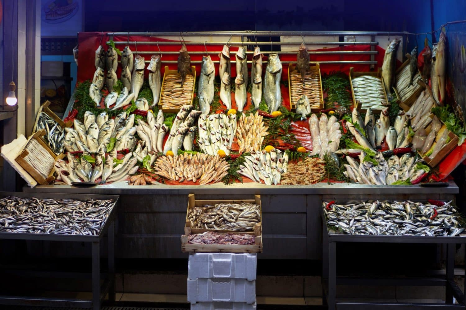 Tour photos: Fish Market Istanbul